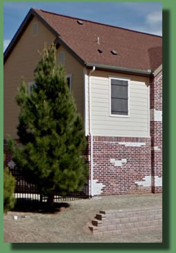 Archer Eldarica Afghan Pine Lubbock, TX